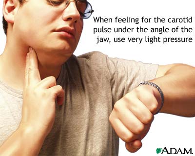 Taking your carotid pulse Taking your carotid pulse