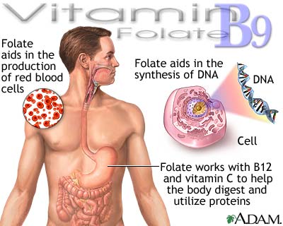 Vitamin B9 benefits Vitamin B9 benefits