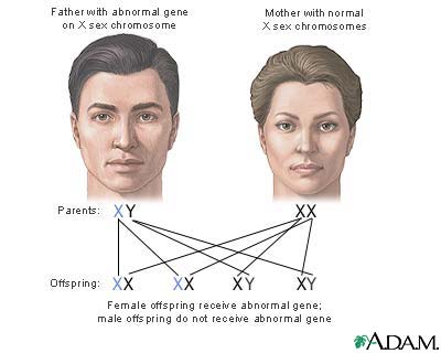 Genetics Genetics