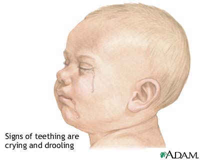 Teething symptoms Teething symptoms